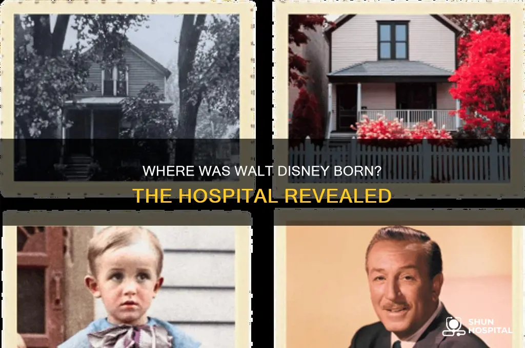 which hospital was walt disney born in
