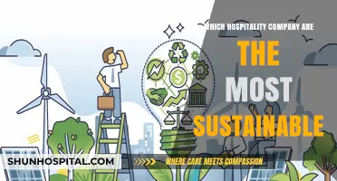 Sustainable Hospitality Leaders: Ranking the Greenest Companies in the Industry