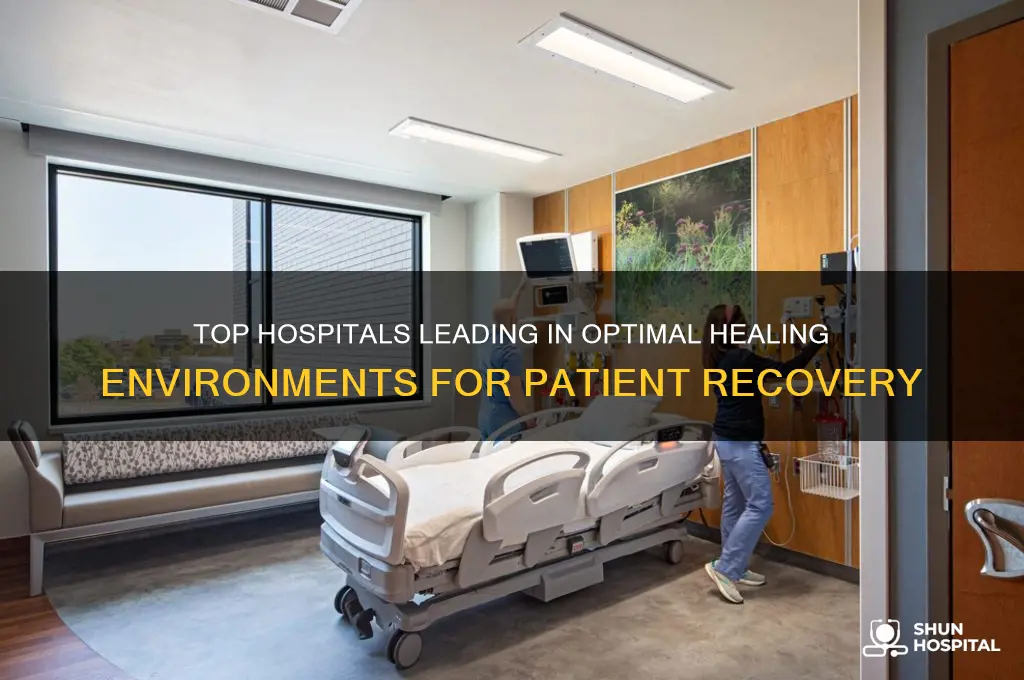 which hospitals are considered optimal healing enviroments