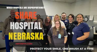 Nebraska's Disproportionate Share Hospitals: Identifying Key Healthcare Providers