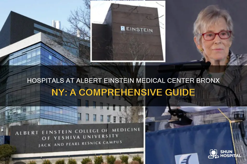 which hospitals are in albert einstein medical center bronx ny