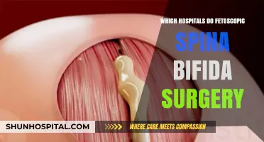 Top Hospitals Performing Fetoscopic Spina Bifida Surgery: A Comprehensive Guide
