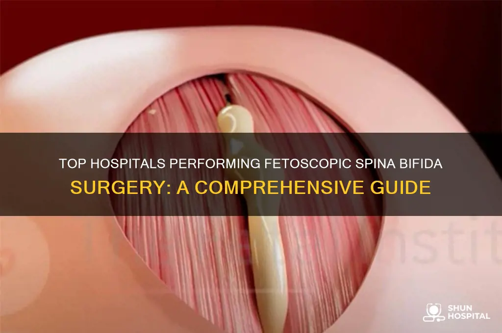 which hospitals do fetoscopic spina bifida surgery