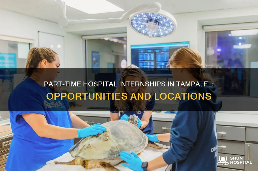 which hospitals do part time internships in tampa fl