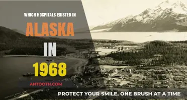 Alaska's 1968 Healthcare Landscape: Hospitals Serving the Last Frontier