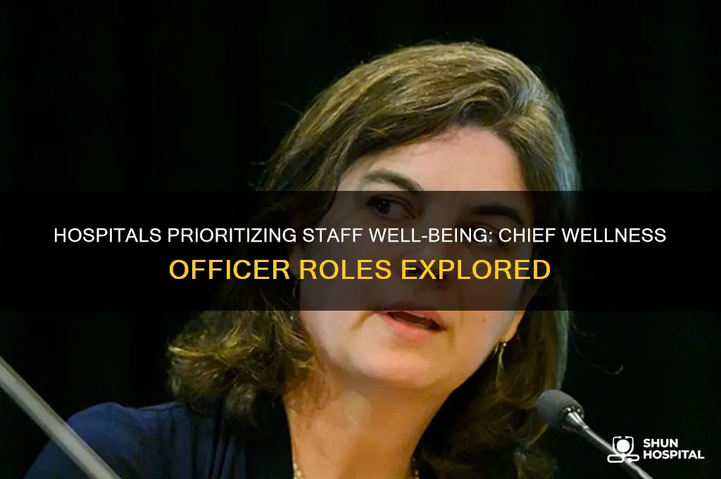which hospitals have chief wellness officer positions