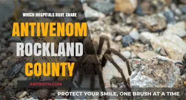 Where to Find Snake Antivenom in Rockland County Hospitals