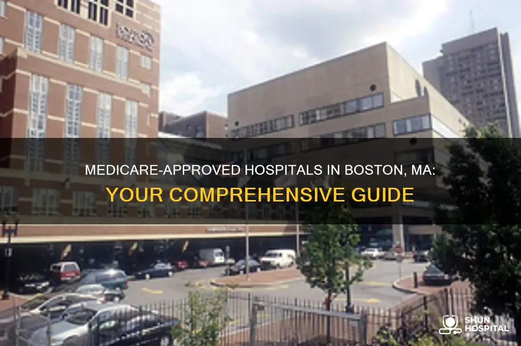 which hospitals in boston ma are medicare-approved providers
