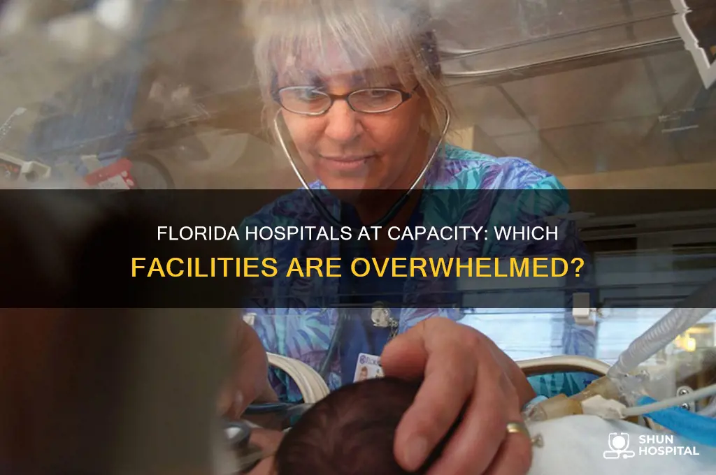 which hospitals in florida are at capacity