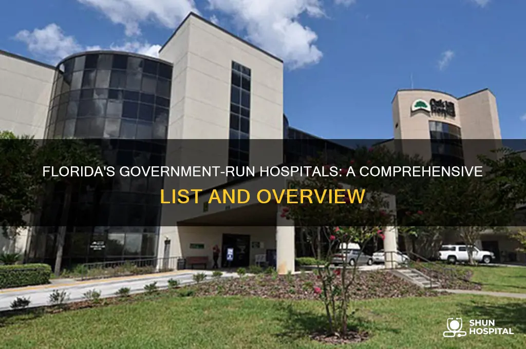 which hospitals in florida are governmental agencies