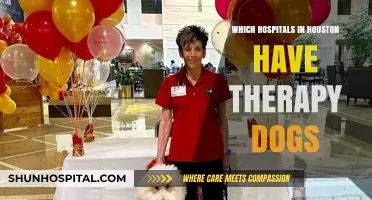 Houston Hospitals with Therapy Dogs: Healing Paws in Action