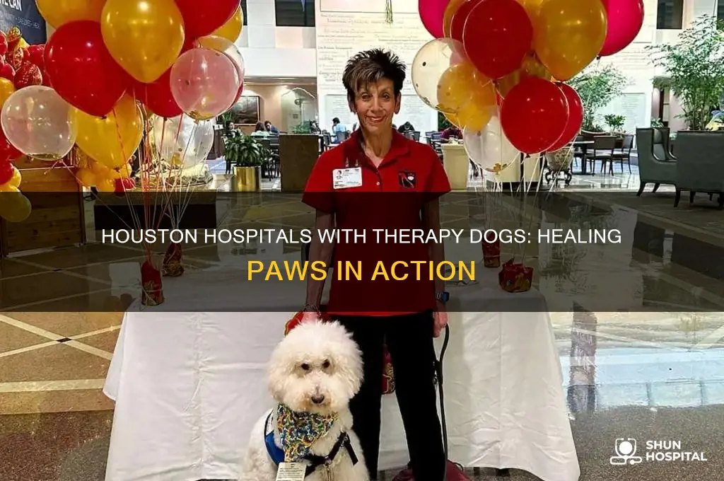 which hospitals in houston have therapy dogs