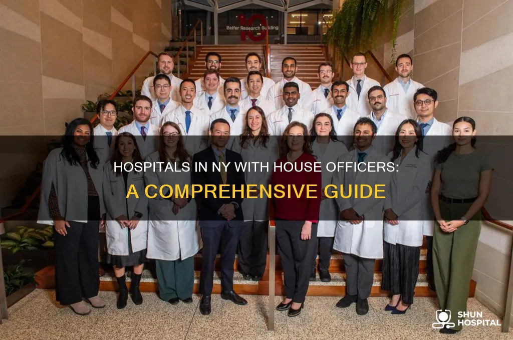 which hospitals in ny have house officers