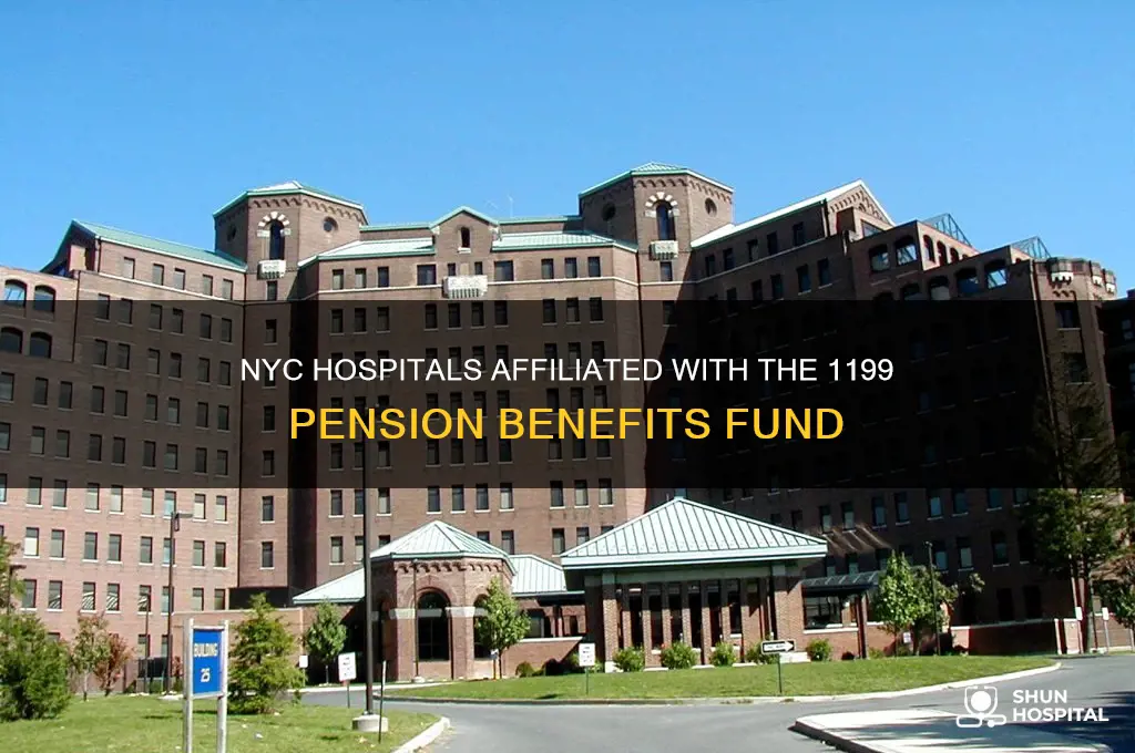 which hospitals in nyc belong to 119 pension benefits fond