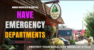 Seattle's Top Emergency Departments: A Guide to Hospitals with 24/7 Care