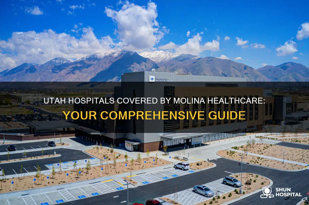 which hospitals is covered by molina healthcare in utah