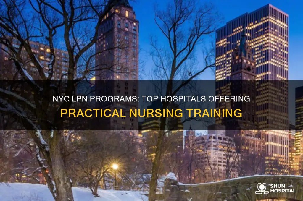 which hospitals offer lpn programs in nyc