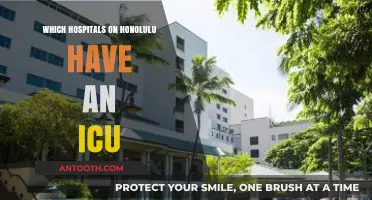 Honolulu's Top Hospitals with ICU Facilities: A Comprehensive Guide