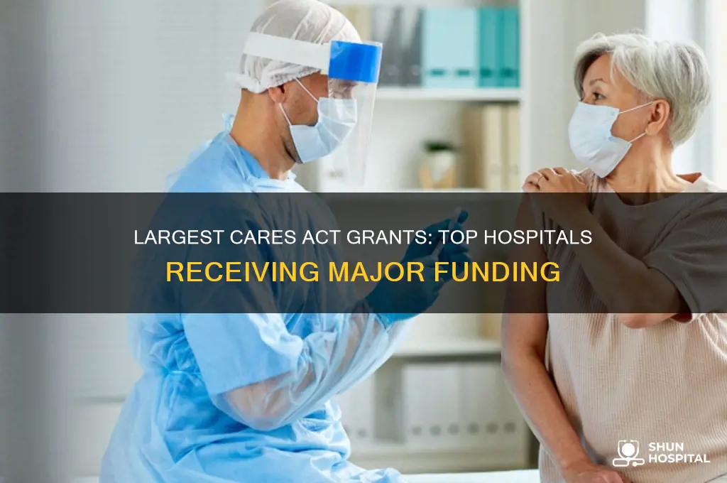which hospitals received the biggest cares grants