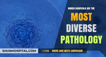 Exploring Hospitals with the Widest Range of Diverse Pathology Cases