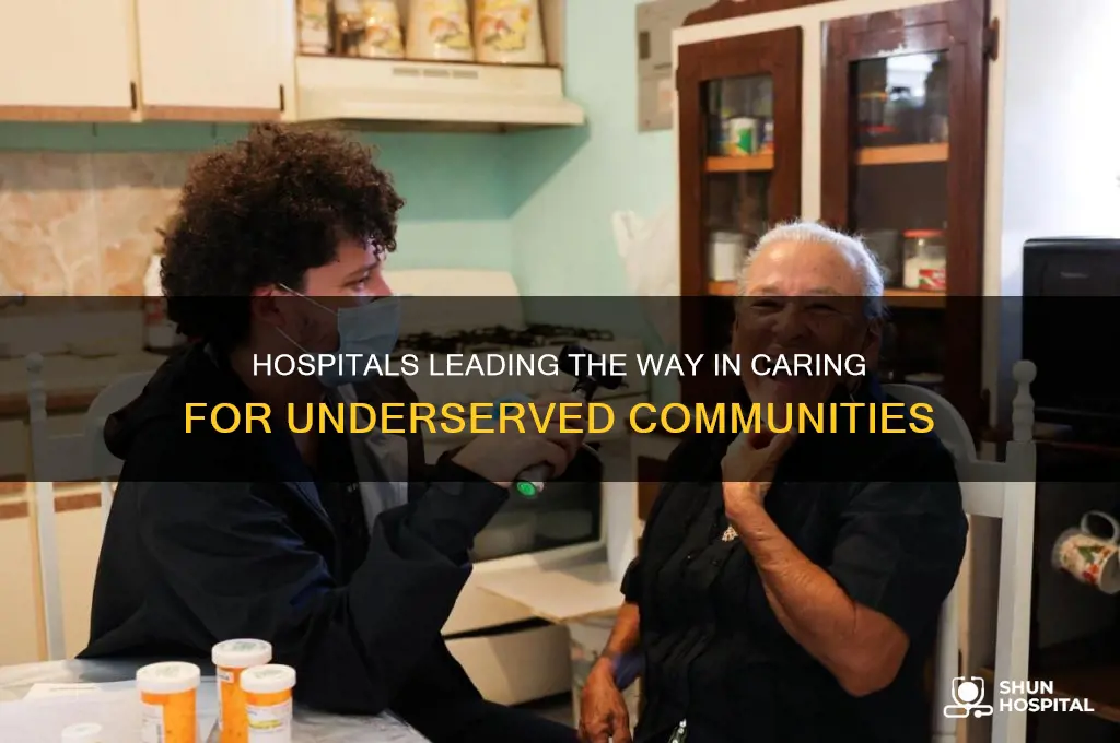 which hospitals treat the most underserved populations