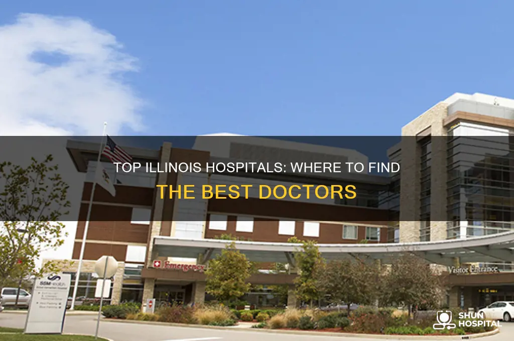 which il hospital has the best doctors