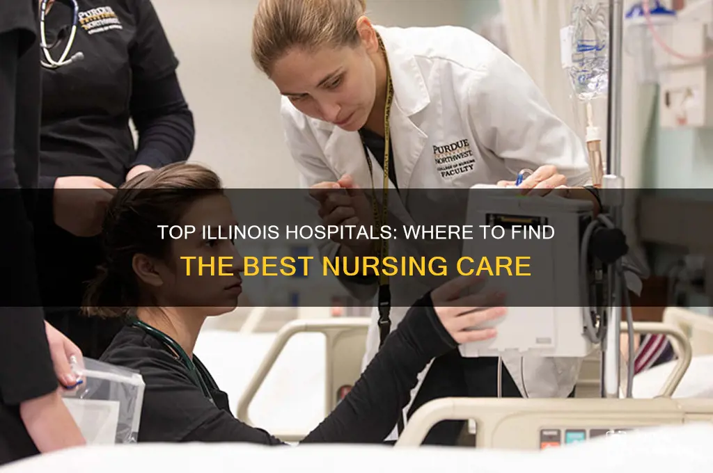 which il hospital has the best nurses