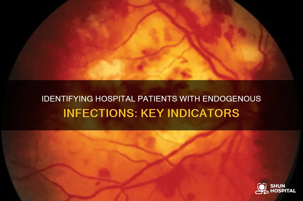 which individual in the hospital has developed an endogenous infection