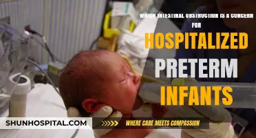 Concerning Intestinal Obstruction Risks in Hospitalized Preterm Infants Explained