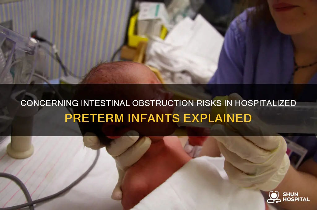 which intestinal obstruction is a concern for hospitalized preterm infants
