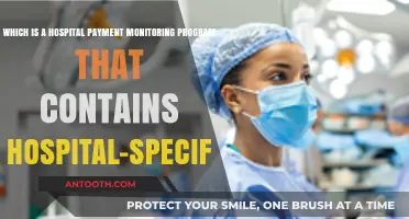 Hospital Payment Monitoring Program: Tailored Solutions for Hospital-Specific Needs