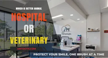 Animal Hospital vs. Veterinary Clinic: Which Offers Better Pet Care?