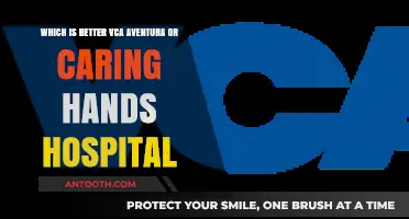 VCA Aventura vs. Caring Hands Hospital: Which Pet Care Option is Better?