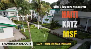 Haiti's Field Hospital Crisis: MSF's Katz on Half-Capacity Challenges
