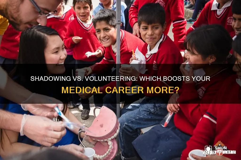 which is important shadowing or volunteering at a hospital
