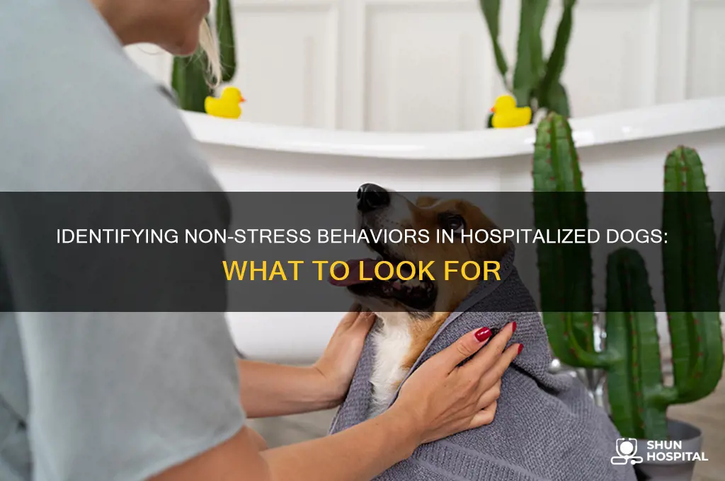 which is not a stress behavior in hospitalized dogs: