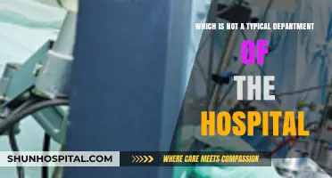 Uncommon Hospital Departments: Exploring Non-Traditional Units in Healthcare Facilities