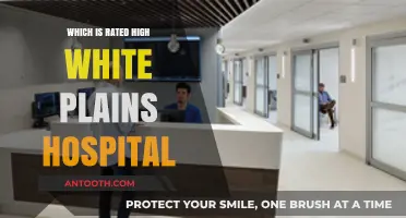White Plains Hospital: Top Ratings and Patient Satisfaction Explained