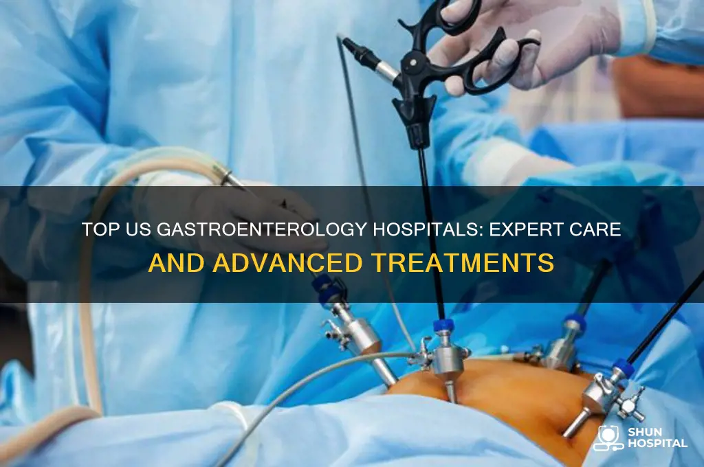 which is the best hospital for gastronterelogy in us