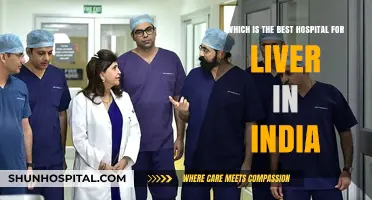 Top Liver Hospitals in India: Expert Care and Treatment Options