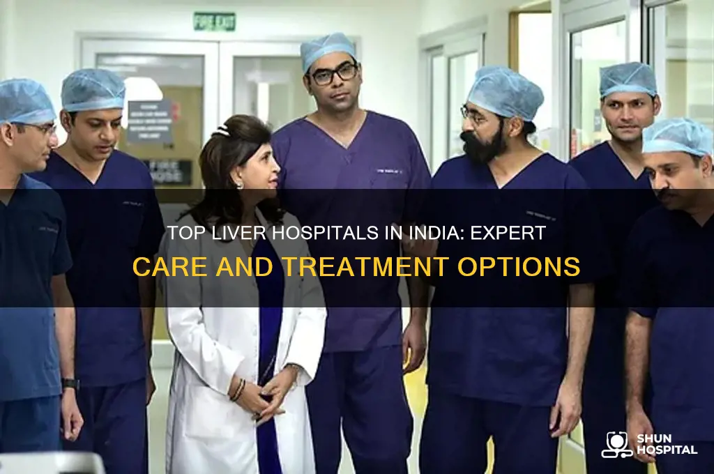 which is the best hospital for liver in india
