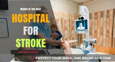 Top Stroke Care: Finding the Best Hospital for Recovery