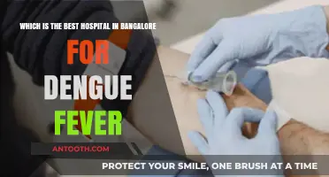 Top Bangalore Hospitals for Effective Dengue Fever Treatment and Care