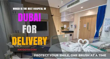 Top Dubai Hospitals for Safe and Comfortable Childbirth: A Guide