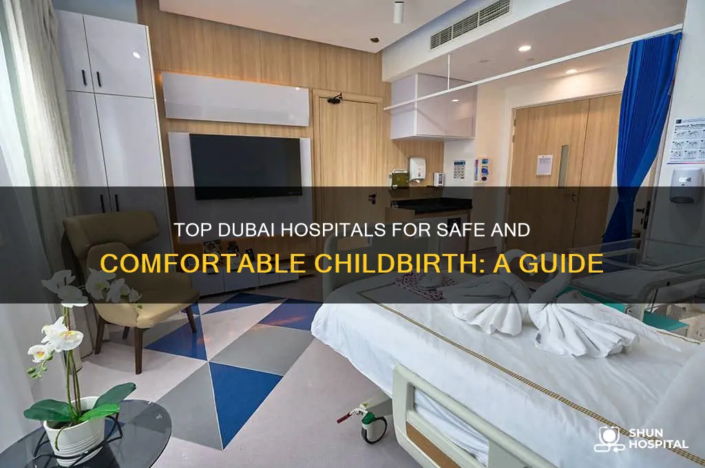 which is the best hospital in dubai for delivery