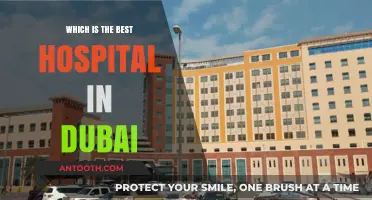 Top Dubai Hospitals: Expert Care, Advanced Facilities, and Patient Satisfaction