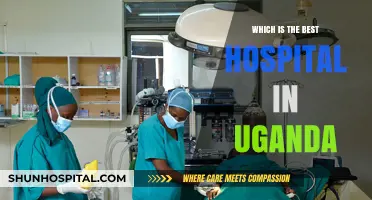 Top-Rated Hospitals in Uganda: A Comprehensive Guide to the Best