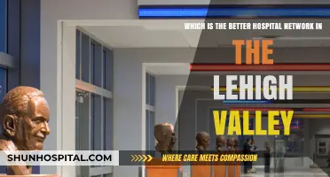 Lehigh Valley's Top Hospital Networks: Comparing Quality and Care