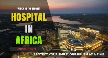Exploring Africa's Largest Hospital: A Comprehensive Guide to Its Size and Services