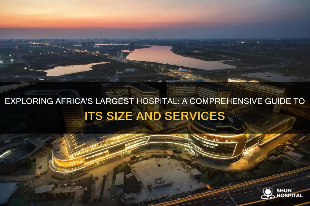 which is the biggest hospital in africa